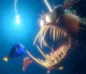 from http://www.solarnavigator.net/films_movies_actors/cartoons/cartoon_images/finding_nemo_dory_marlin_angler_fish.jpg