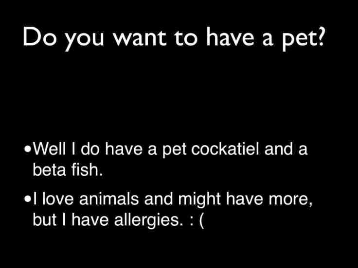 Chat Show.blog.11.2.008